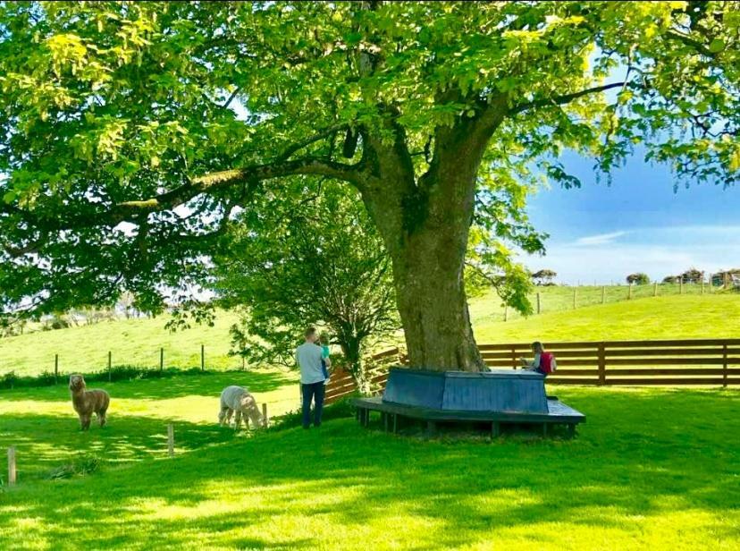 Torrs Warren Country House Hotel Stoneykirk Esterno foto